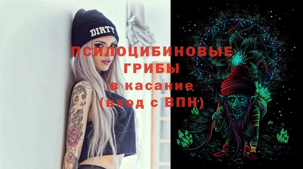 дживик Алексеевка