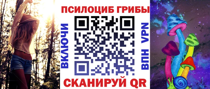 Псилоцибиновые грибы Cubensis  Ишим 